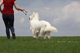 ADULTE ET CHIEN 155